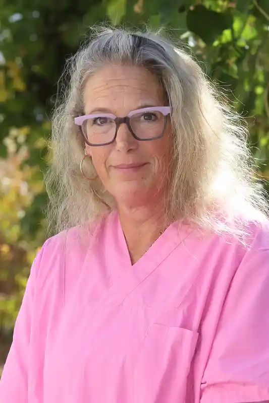 Silke